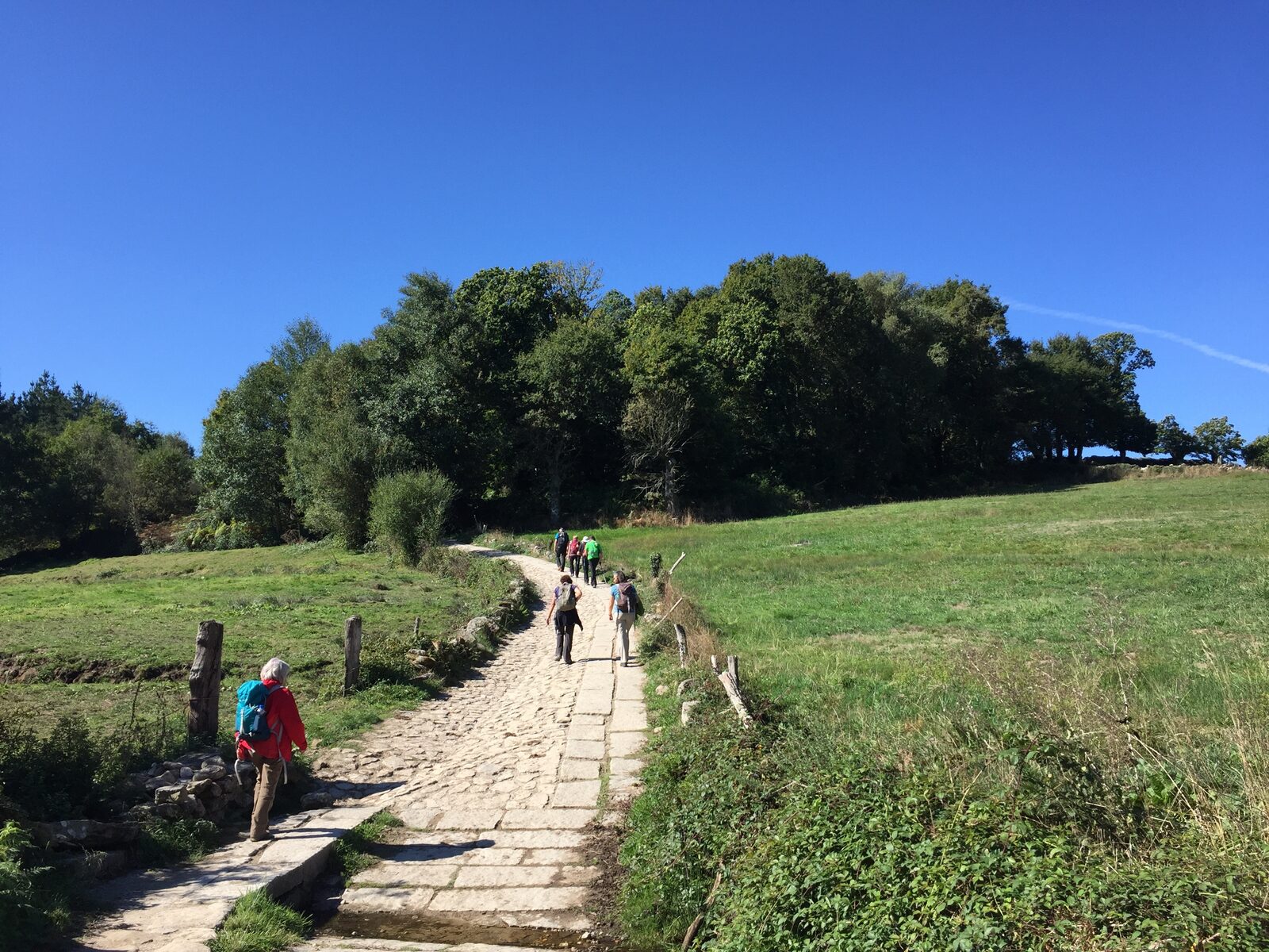 Grupo de caminantes subiendo por una calzada empedrada entre prados